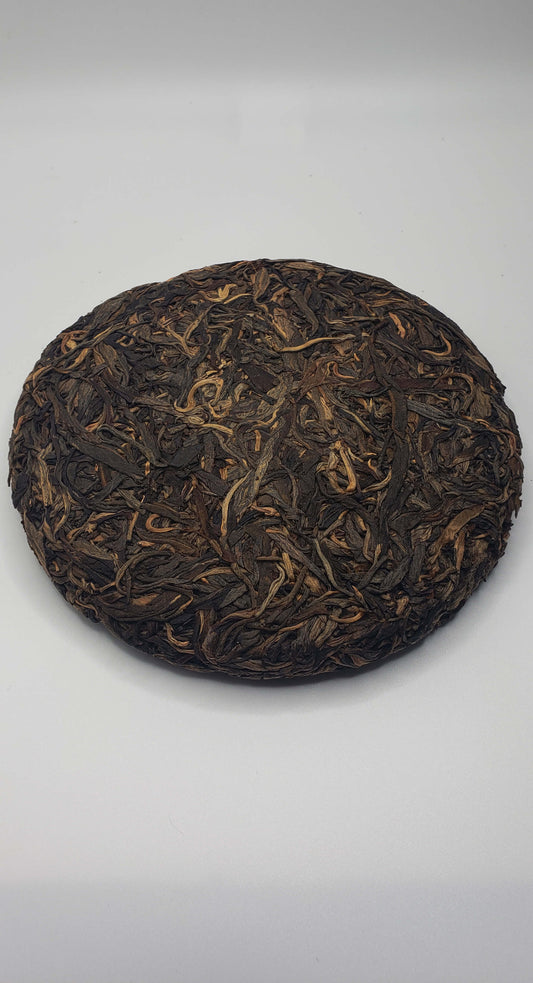 Pasha Young Arbor - 2014