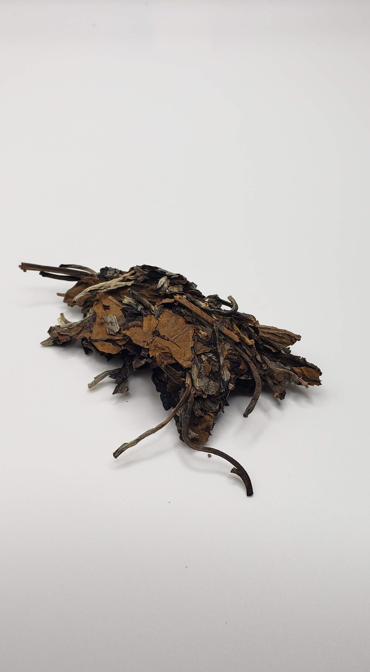 "Hot Honey" - Old Tree White Tea Spring 2022